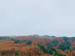 -山王坪喀斯特国家生态公园