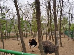 -大连铭湖国际观光牧场