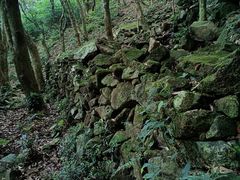 -梧桐山风景名胜区