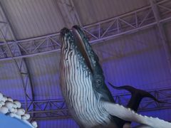-烟台海昌鲸鲨海洋公园