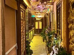 -叶叶菩提(太原别墅店)