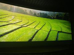 -利群海琴购物广场(商丘路店)