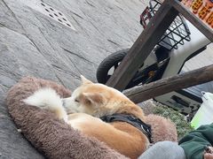 -故事小酒馆