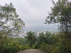 -火炉山森林公园