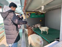 -杭州开元森泊度假乐园