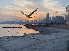 -星海广场