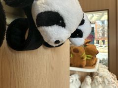 -武汉动物园