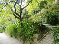 -乌山风景区
