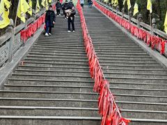 -姑婆山旅游区
