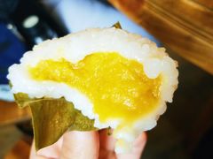 茨毛圆子-双塔老饭店
