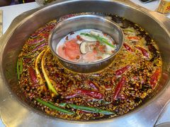-青年火锅(吾悦广场直营店)