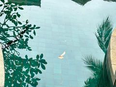 -三亚亚龙湾雅高美爵酒店