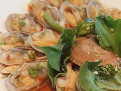 捞汁鲜贝-蟹榭·本帮江浙菜·蟹宴(五角场合生汇商场店)