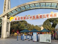 -南山植物园