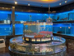 -金悦轩海鲜城(渔人码头店)