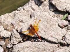 -蟠龙山长城景区