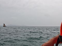 -海驴岛(荣成市)