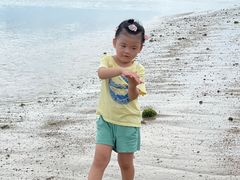 -临高角