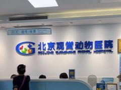 -北京观赏动物医院·24小时大型综合·猫专科·异宠专科