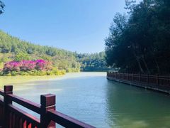 -广州白江湖森林公园