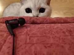 -爱侣宠医·鹦鹉专科·小型哺乳类·异宠专科(灵石路店)