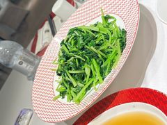 清炒鸡毛菜-圆苑(静安寺店)