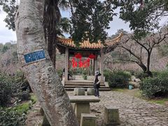 -雨花胜境