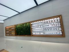 -Apple零售店(苏州店)