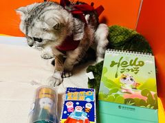 -瑞派福兴宠物医院犬猫全科·骨科·中西医结合(河东店)