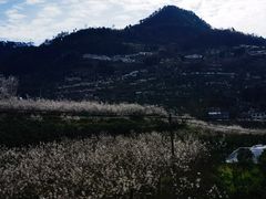 -樱桃山旅游景区