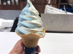 -肯德基(天鹅湖万达店)