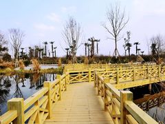 -桤木河湿地公园