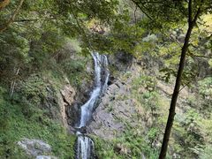 -石台牯牛降景区