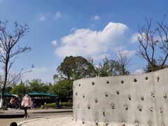 -成飞公园