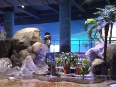 -临沂极地海洋王国