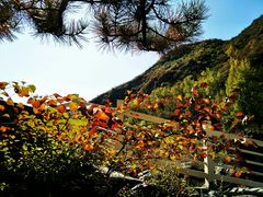-乌龙峡谷景区