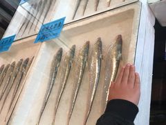-莆鑫海鲜城(浏河店)