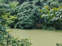 -黔灵山公园