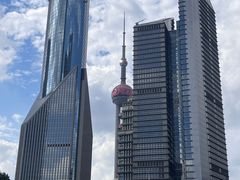 -陆家嘴中心绿地