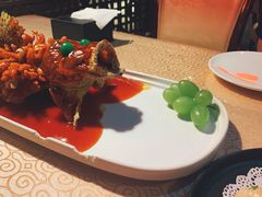 松鼠桂鱼-松鹤楼(月坛店)