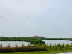 -碧海金沙
