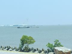 -上海滨江森林公园