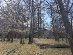 -阳台山自然风景区