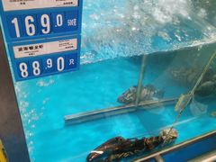 -麦德龙(湖里店)