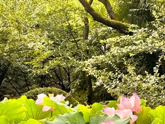 -成都杜甫草堂博物馆
