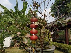-广州神农草堂中医药博物馆