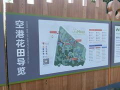 -空港花田景区