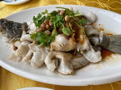 碧绿骨香鲈鱼-肥姐美食(同福中路店)