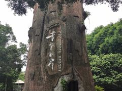 -青青世界