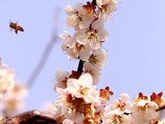 -广州市流溪河国家森林公园